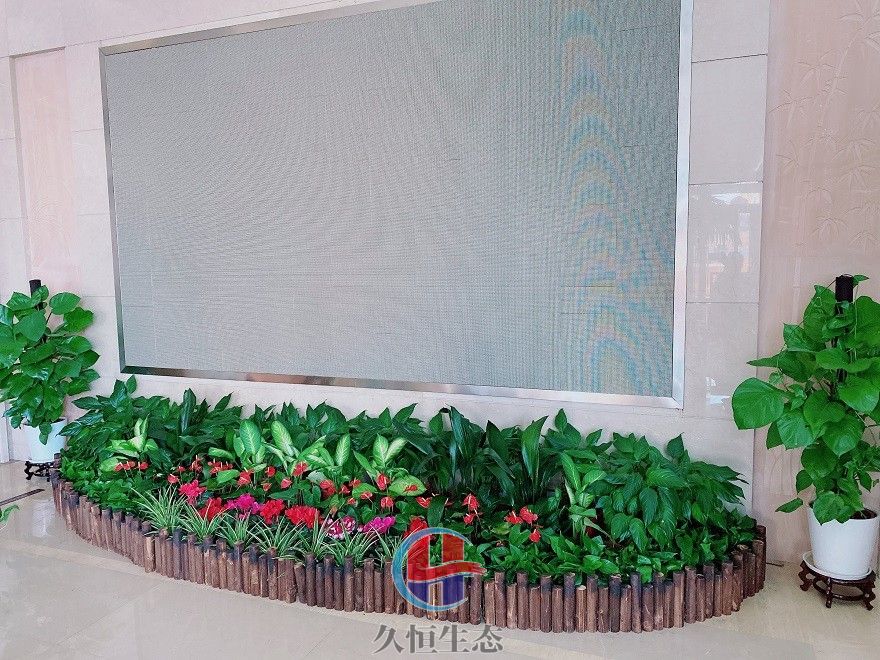 宁波慈溪企业大厅显示屏组合花卉绿植摆放