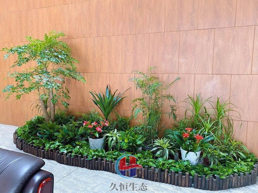 宁波慈溪大厅多个花卉品种造景3